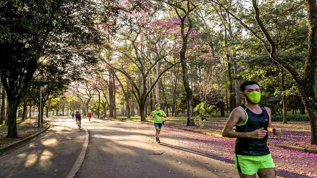 Parque Ibirapuera tem horário de funcionamento estendido Jornal Ver a Cidade